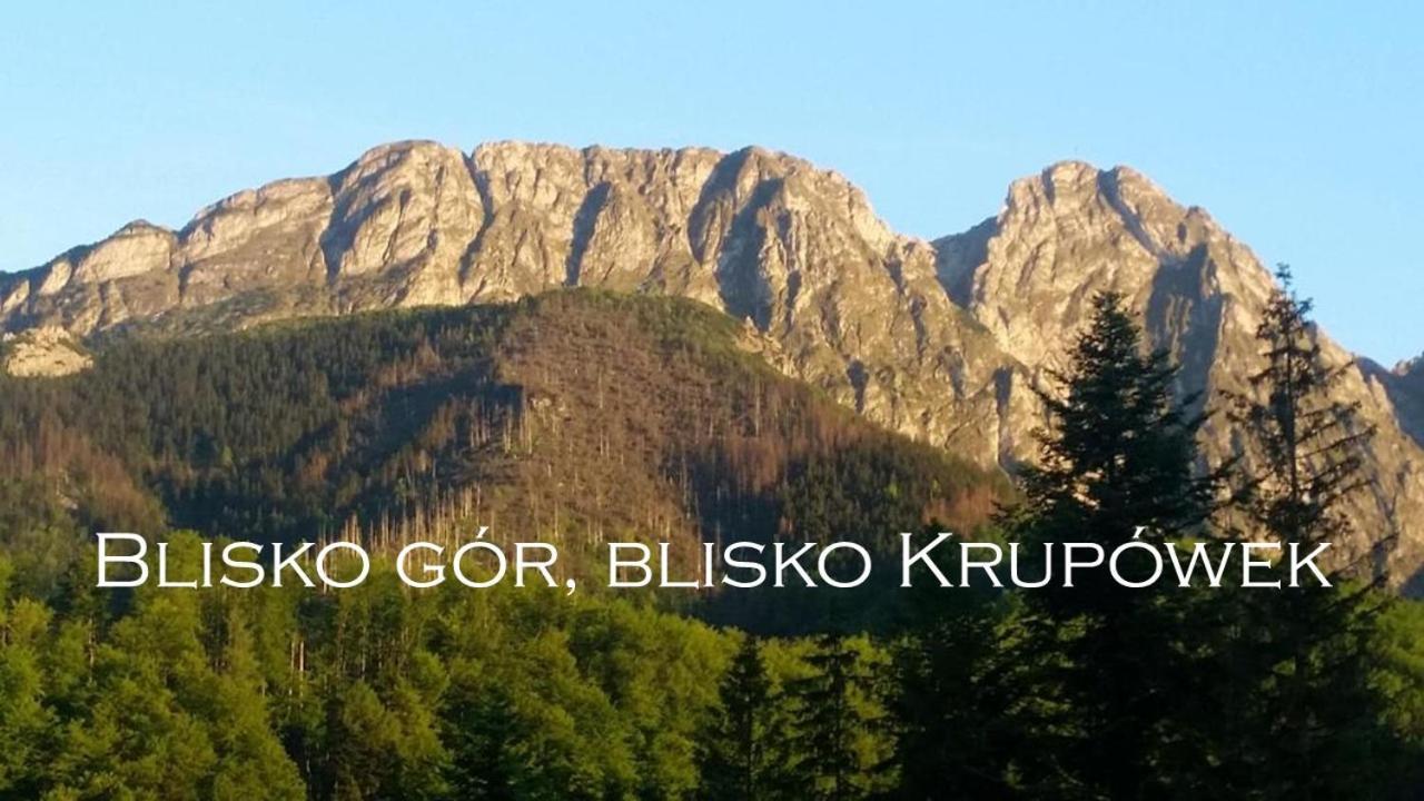 Willa Otulina Pod Giewontem Zakopane Luaran gambar